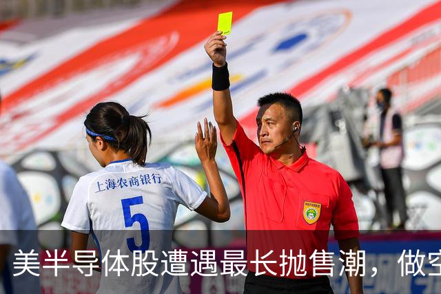 美半导体股遭遇最长抛售潮，做空者获利逾320亿美元